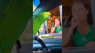 Thumbnail: Parrot Tells the Truth About the Minivan Life #shorts #relatable