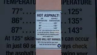 Thumbnail: Did you know how dangerous this is for your dog? #rvliving,#dogs, #pet,