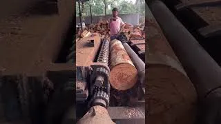 Thumbnail: Incredible Timber Processing Machine  #viral #shorts #fyp #trending #wood