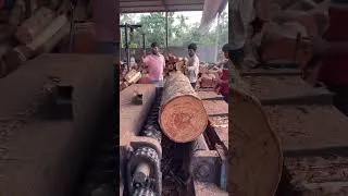 Thumbnail: Debarking Machine Working  #viral #shorts #fyp #trending #wood