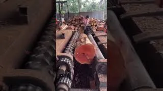 Thumbnail: Huge Logs Through a Powerful Machine  #viral #shorts #fyp #trending #wood