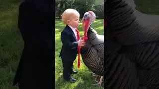 Thumbnail: You are pardoned. Okay?  #trump #funny#satire #shorts