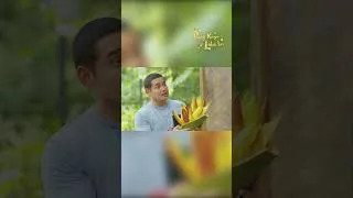 Thumbnail: From sweet courting to harsh words! #shorts | Daig Kayo ng Lola Ko