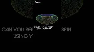 Thumbnail: can you reverse the spin using your mind?