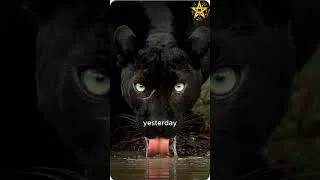 Thumbnail: Wake Up What You Don’t Heal in Yourself, You Will Repeat in Others #gnosis