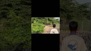 Thumbnail: The moment of the 2000 ducks