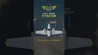 Thumbnail: P-Factor: Multi-Engine 🛩️
