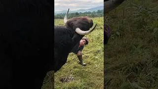 Thumbnail: Vermont Can’t Afford a Trade War With Canada