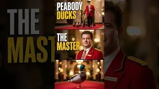 Thumbnail: The Ducks of Memphis