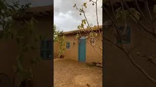 Thumbnail: Nothing but Rain & Peace 🌧️ 👇🏻👇🏻