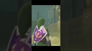 Thumbnail: #legendofzelda #zelda #skywardsword #funnygamingmoments #funnyshorts #gamingshorts #gaming