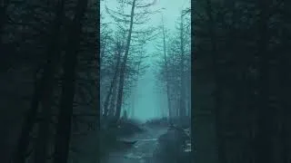 Thumbnail: Stalker's Dark Ambient #music