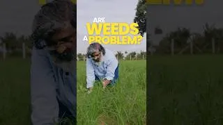 Thumbnail: How to control #weeds in #organicfarming 🧑‍🌾