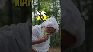 Thumbnail: Why is everyone cutting local #mango trees?