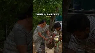 Thumbnail: Revive #soil in 4 steps