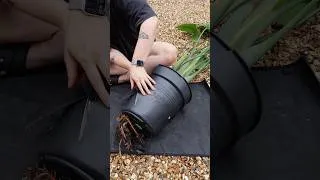 Thumbnail: The most INTENSE repot 😮‍💨