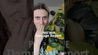 Thumbnail: Some plants didn’t like the move 😭