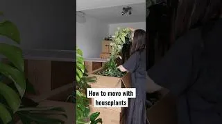 Thumbnail: How to move with houseplants 📦