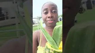 Thumbnail: 😎Vibes of the Caribbean. Fun summer afternoon at another festival🍍🥰💖