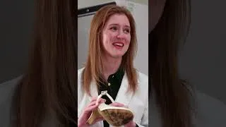Thumbnail: Trying To Save Filthy Wedding Shoes | Good Housekeeping UK