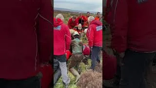 Thumbnail: 18 Rescue Workers Spend 6 Hours Saving Dog Trapped Underground
