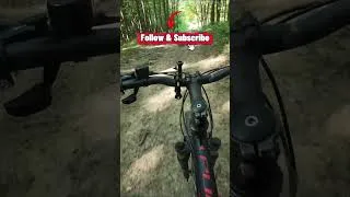 Thumbnail: Pure MTB Forest ASMR! 🌲🔊 | Go POV Explore #shorts #mountainbike #bikeasmr  #biciclete #mtb
