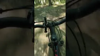 Thumbnail: Pure MTB Flow - Deep in the Woods! 🌿🎒 #shorts  #biciclete #iubitori_de_biciclete #mtb