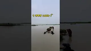 Thumbnail: শুভ সকাল || @GoriberAgroBd
