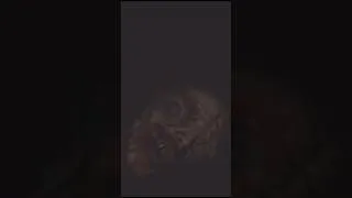 Thumbnail: Resident Evil Requiem:  Meeting the Girl