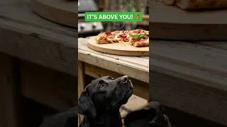 Thumbnail: He Has No Idea It's Right There! 🍕😱