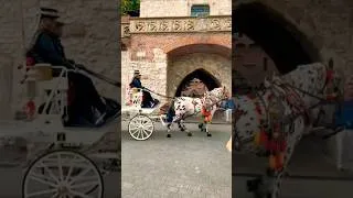 Thumbnail: Exploring Krakow Old Town 🇵🇱 | Walking Through Poland's Most Beautiful Medieval City