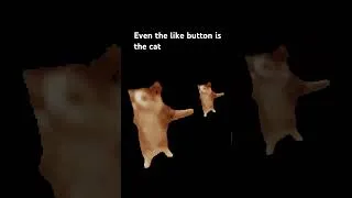 Thumbnail: #cat