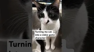 Thumbnail: Turning my cat into a video game character #cat #videogame #art #catgame