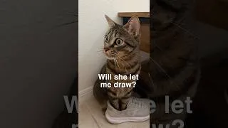 Thumbnail: Is it possible to draw with a cat #cat #funny #art #catshorts #catlife  #catfunny