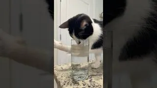 Thumbnail: Getting drunk off water