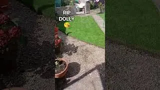 Thumbnail: What a difference a week makes 🤠👍#Grass cutting