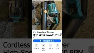 Thumbnail: Worlds fastest leaf blower 🤠🫡
