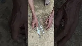 Thumbnail: cleaning SMALL FISH by rural grandpa #food #cooking #recipe #villagelife