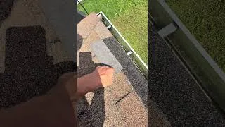 Thumbnail: Roof starter row