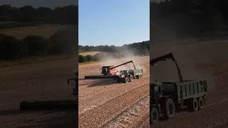 Thumbnail: Case IH 9250 chewing it's way through harvest 2026!