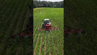Thumbnail: Have you ever considered inter row drilling your maize crop?