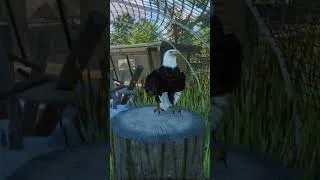 Thumbnail: Planet Zoo's Most Realistic Wetland? You Decide