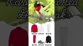 Thumbnail: Fundraising For my Planet Zoo Project #ZooFashion #Wildlife