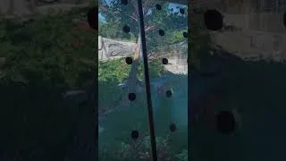 Thumbnail: My Top 3 Planet Zoo Builds of 2025! #planetzoo
