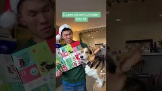 Thumbnail: Gatsby's Advent Calendar Day 14
