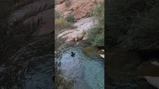 Thumbnail: Ezmeyghan village spring IRAN 2023 Walking Tour  #shorts #shortvideo   #irantravel #4k #nature