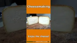 Thumbnail: Making 1 pound wheel of Gouda Cheese with a natural rind #shorts