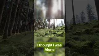 Thumbnail: To all the HSP out there. You are not Alone. #motivation #hsp #slowliving #simplelife #nature  #life