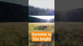 Thumbnail: Summer for HSPs:It's a Siege #hsp #highlysensitivepeople #slowliving #quietlife #overwhelmed#calming