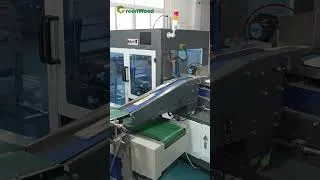 Thumbnail: Inside a Biodegradable Tableware Factory — Natural Bamboo to Finished Product | GreenWood
